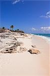 Beach, Cayo Largo, Cuba