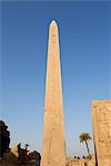 Obelisk, Tempel von Karnak, in der Nähe von Luxor, Theben, UNESCO World Heritage Site, Ägypten, Nordafrika, Afrika