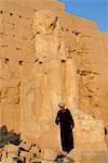 Alabaster sphinx, Karnak, near Luxor, Thebes, UNESCO World Heritage Site, Egypt, North Africa, Africa