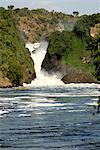 Murchison Falls, Victoria Nile, Uganda, East Africa, Africa
