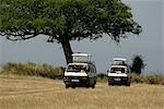 Murchison Falls area, Uganda, East Africa, Africa