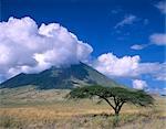 The Masai's holy mountain, Tanzania, East Africa, Africa