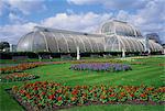 The Palm House, the Royal Botanic Gardens at Kew (Kew Gardens), UNESCO World Heritage Site, London, England, United Kingdom, Europe