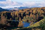 Tarn Hows, Parc National de Lake District, Cumbria, Angleterre, Royaume-Uni, Europe