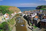 Staithes, Yorkshire, England, Vereinigtes Königreich, Europa