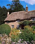 Thomas Hardy's cottage, Bockhampton, near Dorchester, Dorset, England, United Kingdom, Europe