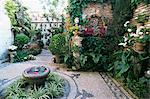 Patio in private house during annual patio competition, Cordoba, Andalucia, Spain, Europe