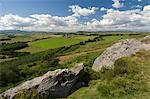 Northumberland National Park near Otterburn, Northumberland, England, United Kingdom, Europe