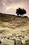 Stone carriage ramp from Homeric period, Troy, UNESCO World Heritage Site, Anatolia, Turkey, Asia Minor, Asia