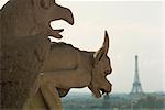 Gargouilles sur la cathédrale Notre-Dame et au-delà, la tour Eiffel, Paris, France, Europe