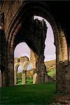 Ruinen von Llanthony Priory Vale der schwarzen Berge, Gwent, Ewyas, Wales, Vereinigtes Königreich, Europa