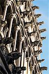 Facade with false gargoyles, Eglise Notre-Dame, Dijon, Burgundy, France, Europe