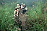 Touristes sur l'éléphant en arrière dans l'herbe longue, Regarde un jeu dans le Parc National de Chitwan, Népal, Asie
