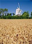 Le Post Mill, vert Saxtead, Suffolk, Angleterre, Royaume-Uni, Europe