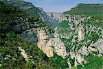 Gorges du Verdon (Verdon Gorges), Alpes-de-Haute Provence, Provence, France, Europe