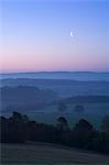 Misty dawn with moon, Newlands Corner, Surrey Hills, near Guildford, Surrey, England, United Kingdom, Europe