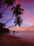 Pigeon Point, Tobago, des Caraïbes et Antilles