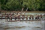 Canoe race, Basiem, Irian Jaya, Indonesia, Southeast Asia, Asia