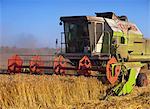 Harvester harvesting a barley field, Galilee, Israel, Middle East