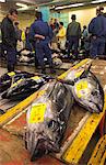 Large tuna fish on trolley with buyers in background, tuna auction, Tsukiji fish market, Tokyo, Honshu, Japan, Asia