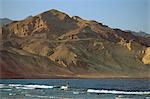 Tarabine, mer rouge, Sinaï, Égypte, Afrique du Nord, Afrique