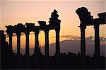 Colonnes en public, construction, probablement la Cour de Justice, Baalbek, UNESCO World Heritage Site, Liban, Moyen-Orient