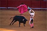 The banderillas sticks are placed in the bull's neck, bullfighting, Spain, Europe