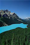 Peyto Lake, Banff National Park, UNESCO World Heritage Site, Alberta, Rockies, Canada, North America