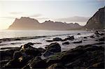 Soleil de minuit, l'été, îles Lofoten, Norvège, Arctique, Scandinavie, Europe