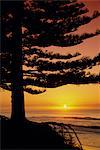 Lever du soleil, Pine Beach, Gisborne, côte est, North Island, New Zealand, Pacifique