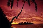 Silhouette von Palmen und einsamen Insel bei Sonnenaufgang, Rarotonga, Cook-Inseln, South Pacific, Pazifik
