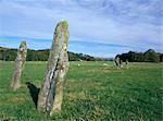 Pierres debout dans Lady Glassary bois, partie du Néolithique et l'âge du Bronze cimetière linéaire, Kilmartin Glen, Argyll and Bute, Ecosse, Royaume-Uni, Europe