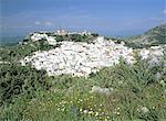 Wild flowers and white village with Moorish castle, perched on mountainside, Casares, Malaga, Costa del Sol, Andalucia (Andalusia), Spain, Europe