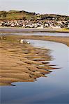 Exposed rippled sandbank on Conwy River estuary at low tide, with Deganwy beyond, Conwy, Wales, United Kingdom, Europe