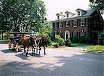Horse and carriage in Lee Avenue, Lexington, Virginia, United States of America (USA), North America