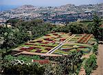 Botanical Gardens, Quinta de Bom Sucesso, Funchal, Madeira, Portugal, Europe