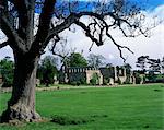 Jervaux Abbey in der Nähe von Masham, North Yorkshire, Yorkshire, England, Vereinigtes Königreich, Europa