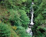 The Black Spout, Pitlochry, Perthshire, Scotland, United Kingdom, Europe