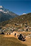 Yak utilisé pour le transport des marchandises quittant le village de Namche Bazar dans la région de Khumbu de l'Himalaya au Népal, Asie