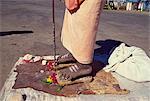 Nahaufnahme der Füße eines hinduistischen Saddhu oder Heiliger Mann stehend auf einem Bett aus Nägeln, in Mysore, Karnataka, Indien, Asien