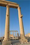 Ruines de la colonnade, Palmyre, patrimoine mondial de l'UNESCO, la Syrie, Moyen-Orient