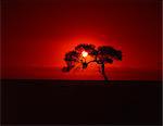 Sunset, Mundi Mundi Plains, New South Wales, Australia, Pacific