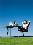 businesswoman at her desk in a grassy field