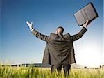 businessman in a field