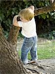 petit garçon grimpant dans un arbre