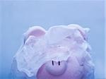 piggy bank covered in ice