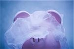piggy bank covered in ice