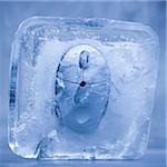 computer mouse frozen in a block of ice