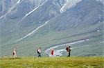 Female US National Park Interpretive Ranger leades group on a *discovery hike* in the Eielson area Denali National Park Alaska