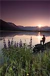 Hiker along 20-mile River @ sunrise stops near Lupine to view scenery Chugach National Forest AK Summer